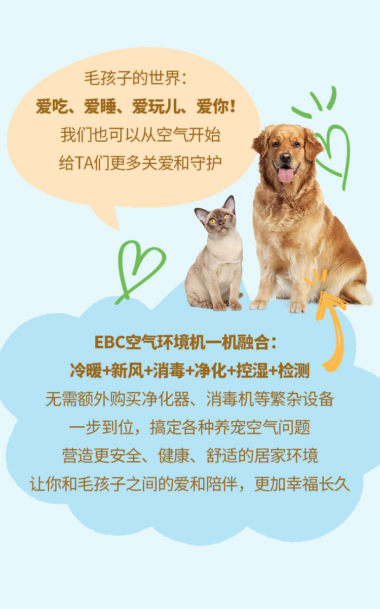 铲屎官必看！冬季养宠4大空气隐患，尤其是第3个！